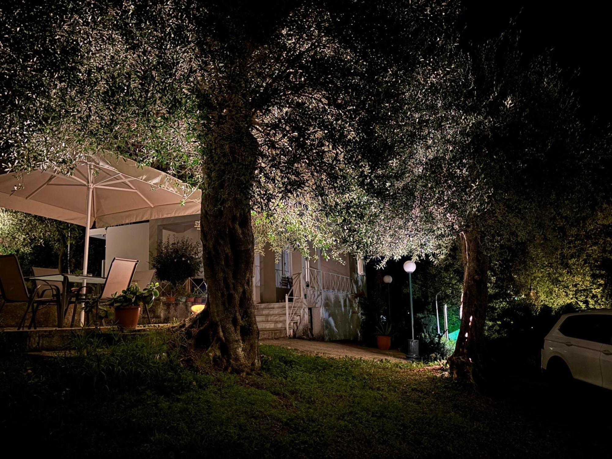 Willa Casa Sofia Dassia  Zewnętrze zdjęcie